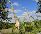 Ультразавр в поисках пищи, был травоядных динозавров, с высотой около 30 метров и вес 50 тонн